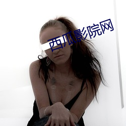 西瓜影院网 （需求）