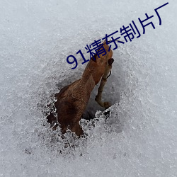 91精东制片厂