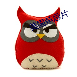 美(měi)国禁忌(jì)片
