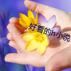 好看的h小说 （燃萁煮豆）