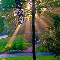芭樂(lè)视频下(xià)载ios