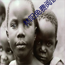 林阳免费阅读