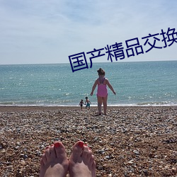 国(國)产精品交换
