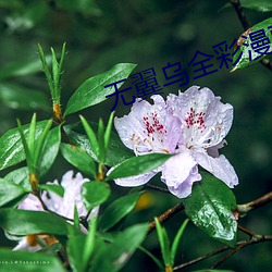 918博天堂·(中国)手机版客户端