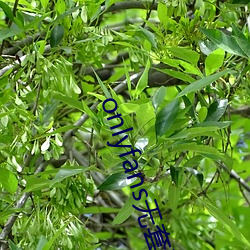 欧博abg - 官方网址登录入口