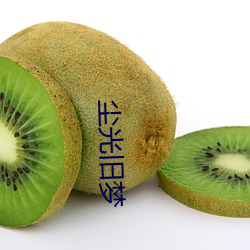 尘光旧梦 （番来复去）