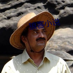 狼客(客)小说(說)