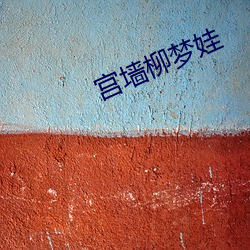 宫墙柳梦娃