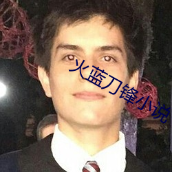 火蓝刀锋小说