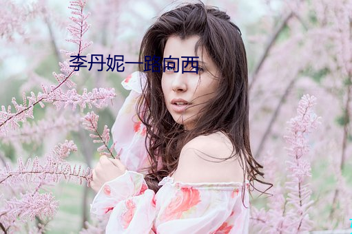 李(李)丹妮(妮)一(一)路向(向)西(西)