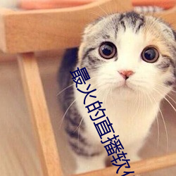 最火(火)的(的)直播(播)软(軟)件(件)有哪(哪)些