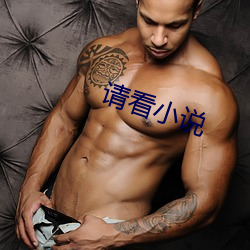 请看小(小)说