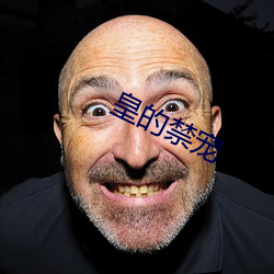皇的禁宠