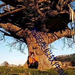 陌陌类似软件叫什(shén)么