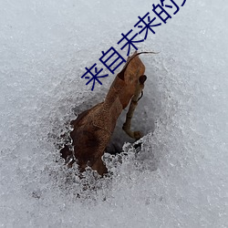来自未来的史密(mì)特