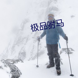 極品驸馬