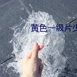 黄色一级片(片)少(少)数民(民)族(族)