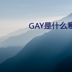 GAY是什么意思(思)