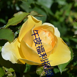AG真人平台(中国)官方网站