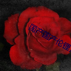 国产国产伦锂片