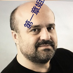 第一章(章)姐(姐)妹双收燃情(情)仕途(途)