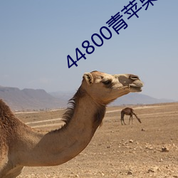44800青蘋果影院