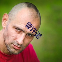 尊龙凯时·(中国)官方网站