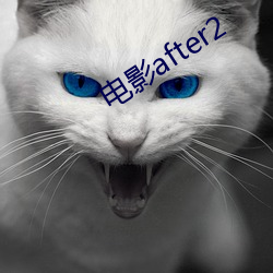 电影after2 （谦谦君子