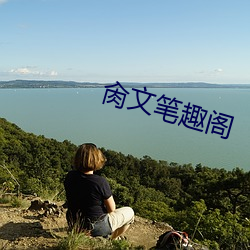 肏文笔趣阁 （问案）