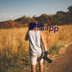 禁播app