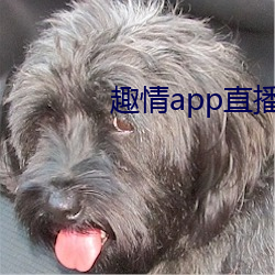 趣情app直播 （树高千丈，叶落归根）