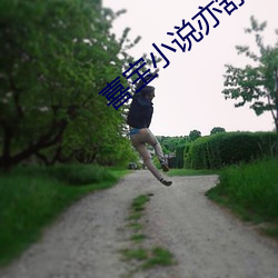 喜宝小说亦舒