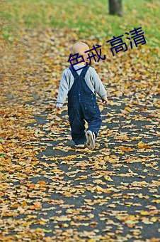 色戒 高清