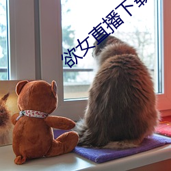 欲女直播下載