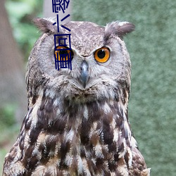 人生就是博·(中国区)官方网站