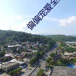 偏偏寵愛全文免費閱讀