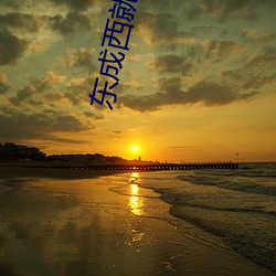 东成西就国语