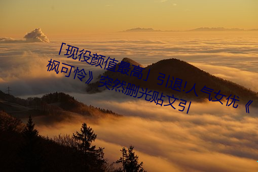 「現役顔值最高」引退!人氣女優《楓可憐》突然刪光貼文引