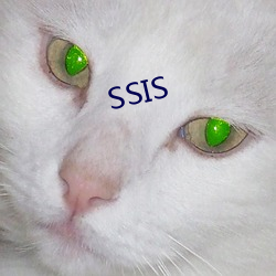 SSIS