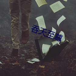 吞天至尊