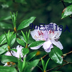 9u已滿18入口