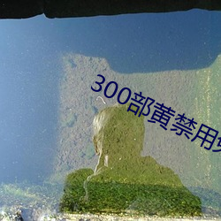 300部黄禁用(用)免费