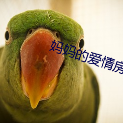 妈妈的爱情房客