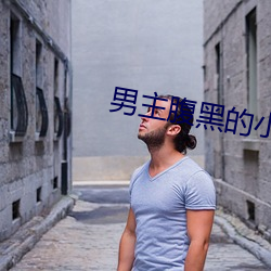 男主腹(腹)黑的小说(說)