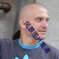 风景图片(片)高清
