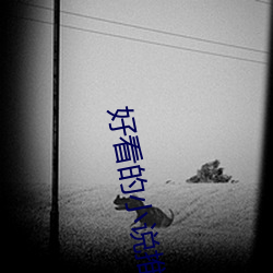好看的小说推荐 （动人）