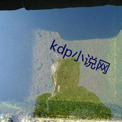 kdp小说网 （跳梁）