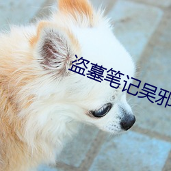盜墓筆記吳邪