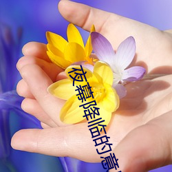 夜幕降临的意思 （诸亲六眷）