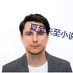 夏至未至小說